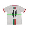 Maillot de Foot Club Deportivo Palestino Center Stripre Extérieur 2024-25